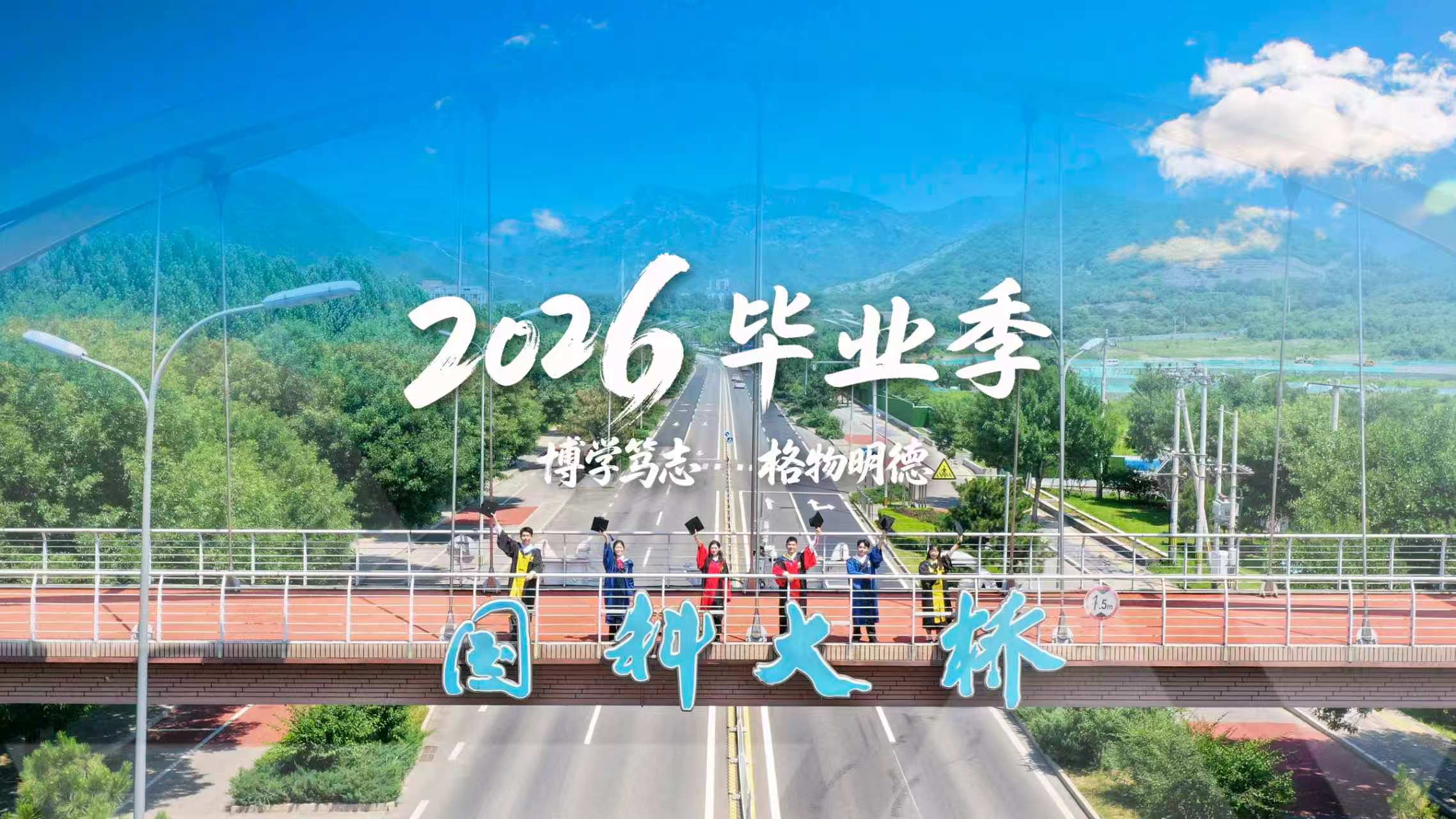 党组成员
