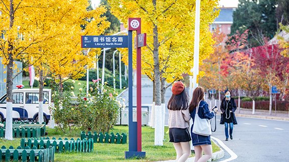 通知栏