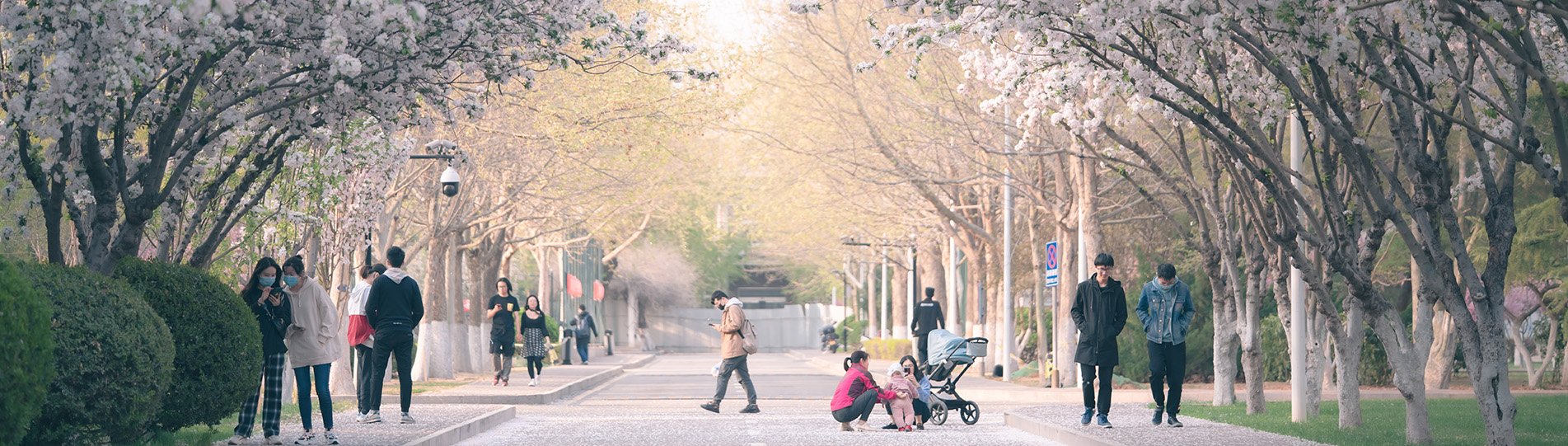 比赛累计达到 219 场